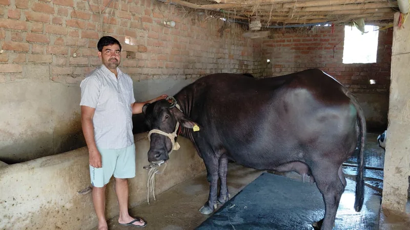 मुख्यमंत्री डेयरी प्लस योजना से परा निवासी रमाकांत जोशी बने आत्मनिर्भर
